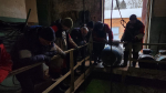В Рузе восстанавливают подачу горячей воды после аварийного отключения