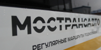 В «Мострансавто» ружанам напомнили правила перевозки елок - Regions.Ru
