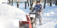 В Рузском округе прошел общеобластной субботник - Рузский городской округ