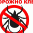 Жителям РМО напоминают о профилактике клещевых инфекций - РузаРИА