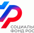 Отделение Соцфонда по Москве и области оплатило свыше 150 тысяч дополнительных выходных дней родителям детей с инвалидностью - РузаРИА