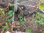 В РМО взрывотехники ГКУ МО «Мособлпожспас» обезвредили три боеприпаса времён ВОВ
